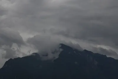 DSC_6399 (Large).JPG